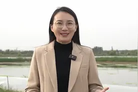 德州齐河马集镇：黄河湾 蟹满塘图片