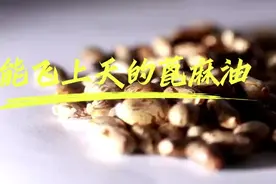 青春华章丨能飞上天的蓖麻油图片