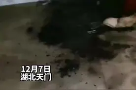 女子出门忘关取暖器，猫被烧死，8000元现金烧成灰图片