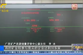 广西：矿产资源改革激发市场活力 社会资本投入持续增长图片