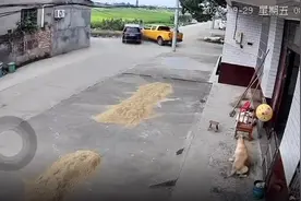 行经农村道路交叉路口，切记减速慢行！图片