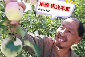 农民网红为河北农产品代言：承德国光苹果图片