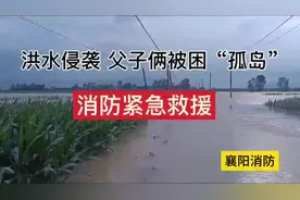 湖北襄阳：洪水侵袭 父子俩被困“孤岛” 消防紧急救援图片