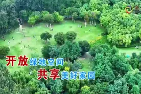 市政协2024年第6次月度商量播出开放绿地空间 共享美好家园图片
