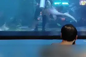 海洋馆鲨鱼疑似被噎住，潜水员下水用海姆立克法急救。网友：一时不能判断谁更危险图片