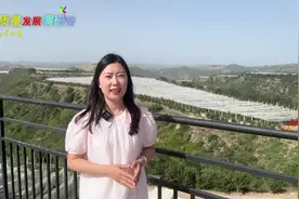 高质量发展调研行vlog｜陕西延安：红苹果背后的“水力量”图片