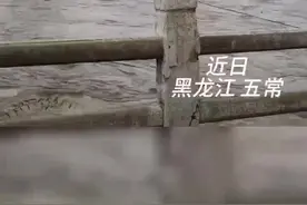 【警徽闪耀抗洪防汛一线】黑龙江五常：暴雨倾盆 群众被困 民警逆流冲锋图片