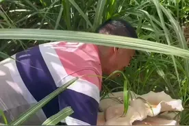 【#云南菌之大一锅炖不下# 】图片