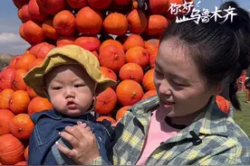 视频 | 乌鲁木齐新增休闲娱乐好去处，南瓜王国有三十多种近十万个南瓜等你来！图片