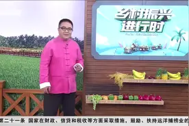 乡村振兴进行时 | 东方：南繁制种基地迎来夏收 预计夏收产量达1.7万吨图片