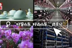 “好客山东 好品山东”进京记：衣、行、用、娱来啦 乐享生活 一见倾心图片