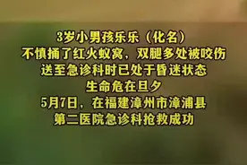 漳州3岁男孩被红蚂蚁咬伤休克图片