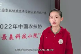 团圆年｜见字如晤图片