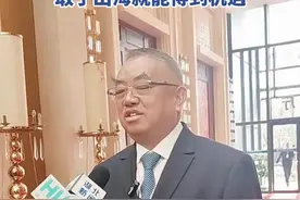 许开华：湖北是中部崛起的潮头，敢于出海就能得到机遇图片