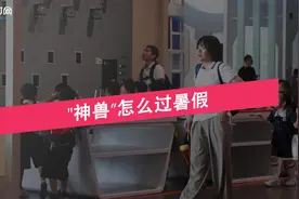 “神兽”暑假怎么过？河南小学生“都挺忙”图片