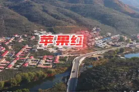 美丽辽宁｜金秋十月，满城尽染“苹果红”！图片