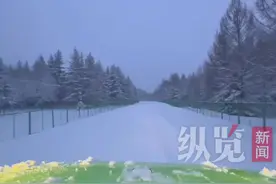 真 · 避暑山庄~ 承德4月下鹅毛大雪图片