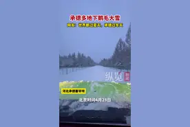 真 · 避暑山庄~ 承德4月下鹅毛大雪图片