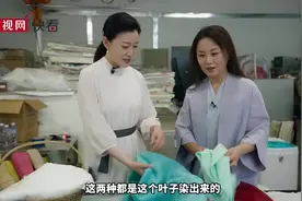 中华好传统丨不只是药材！板蓝根竟然还能染出漂亮布料图片