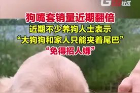 狗嘴套销量近期倍增 部分店铺卖断货：有的店销量达10万+图片