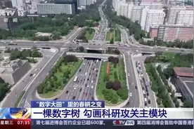 写字楼里农事忙 “数字大田”用上了卫星遥感技术图片