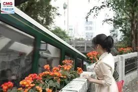 坐天星小轮竟然能解乡愁，土耳其驻港总领事话你知……图片