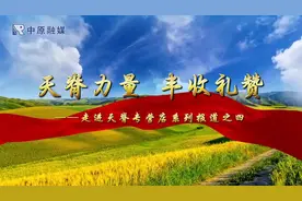 毛新胜：坚守初心二十载 不负“天脊”不负农图片