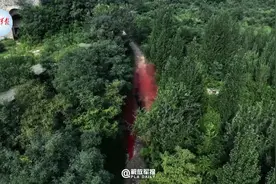 野外生存考验！这种体验太酷了图片
