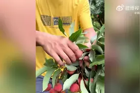 男子卖房回老家被笑傻子 5年后逆袭图片