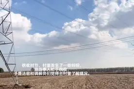 多元解纷|田间地头，地瓜熟没熟？我们去看看！图片