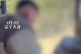 游客两次往熟睡老虎身上撒饮料，被劝阻后怒怼：干你什么事，动物园回应：把猛兽惹急了很危险图片