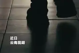 热血沸腾！云豹突击队训练画面太燃了图片