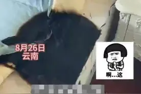 手机充电器被爆漏电，女子床单被烧焦一大片图片