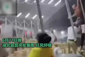 惊险！湖北一地狂风暴雨掀翻雨棚连人被带飞图片
