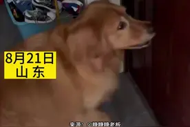 狗狗突然反常大叫，主人开门发现邻居家着火了图片