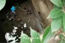 管道漏水常用的检测工具有哪些?图片