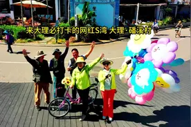 素墨丹青的白族民居，碧波荡漾的洱海，美到治愈一切的S弯图片
