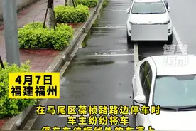 福州这个路段车主们停车方式有点“奇葩”！部门回应！图片
