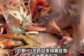 海量财经丨记者实探济南小龙虾市场：批发价低至5元一斤，有批发商日出货量达4000斤图片