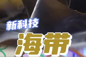发展新质生产力·一线观察丨向大海要“棉花”用海带做衣服 “万物皆可织”图片