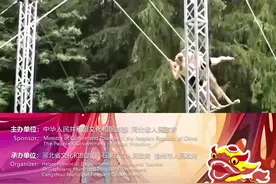 中国吴桥国际杂技艺术节｜往届精彩瞬间——德国、乌克兰《女子双人秋千》图片