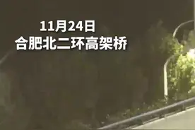 高架救人的黑衣大哥，找到了！图片