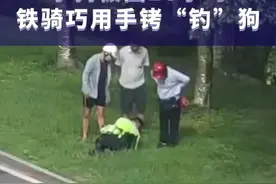 【小狗被困铁骑巧用手铐“钓”狗】图片