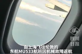 东航飞机突发故障，备降浦东机场！空中放油视频曝光→图片