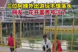 3位阿姨景区浮桥游玩，拍照时不慎落水图片