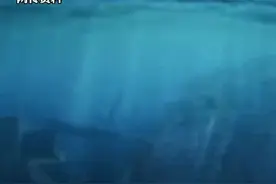 云南两兄弟失踪一周后 在抚仙湖发现遗体 孩子父亲：一个昨晚打捞上来的 一个今早打捞上来的 哥哥15岁 弟弟10岁图片