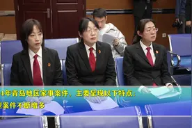 以司法温度守护家和人安 青岛中院发布2024年青岛法院家事审判工作情况及典型案例图片
