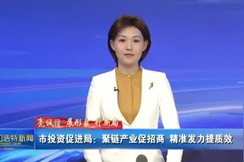 亮诚信 展形象 开新局 | 市投资促进局：聚链产业促招商 精准发力提质效图片