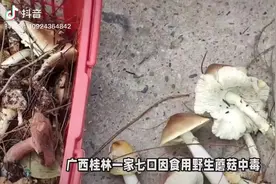 慎采慎食！一家7口疑误食野生菌致2死2伤图片