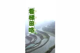 “行进中国”调研行·品牌湖南｜“远方的朋友来我家，看梯田喽！”图片